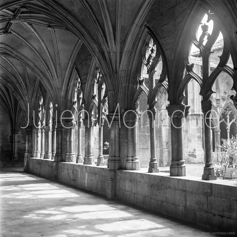 Photographie <em>"Eglise Saint-Gengoult, Toul - Galerie du cloître de l'église"</em> par <b>Julien Monrique</b>