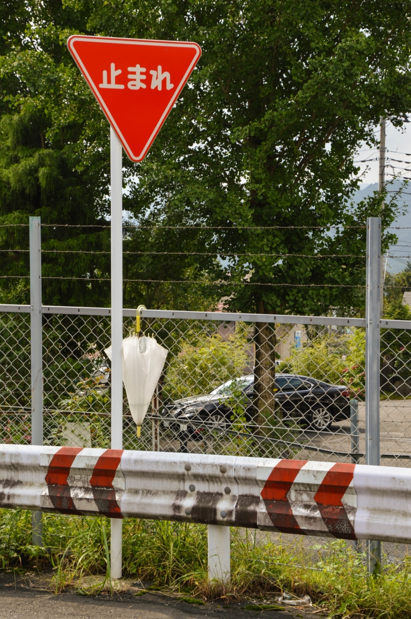 Photograph <em>"They're among us..."</em> by <b>Esthalirioth</b>