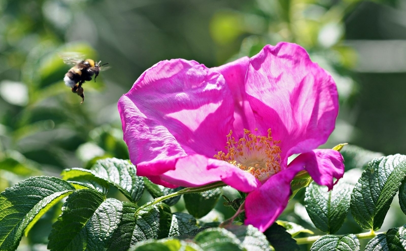 Photographie <em>"Ravitaillement bientôt"</em> par <b>0N0S3NDAI</b>