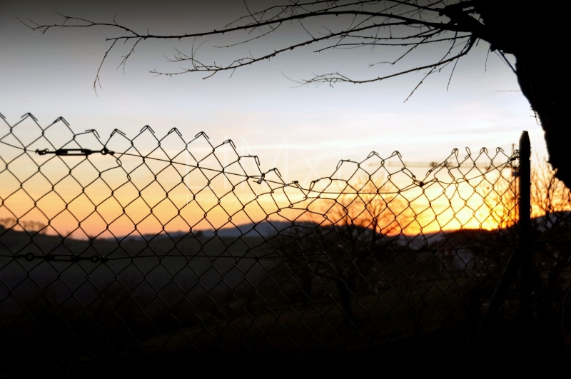 Photograph <em>"fence mesh"</em> by <b>ElMxm</b>
