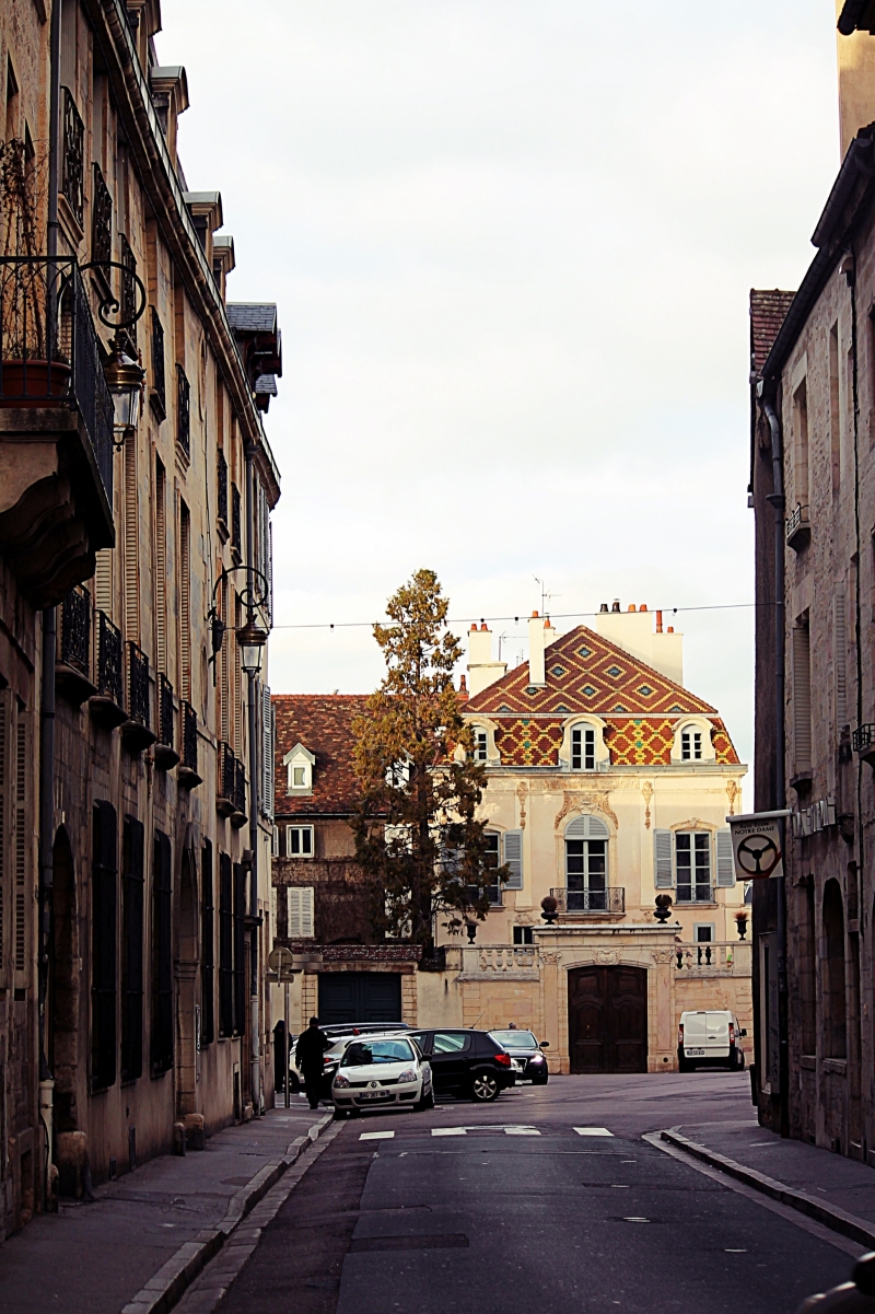Photograph <em>"Roof in Dijon"</em> by <b>Jolka</b>