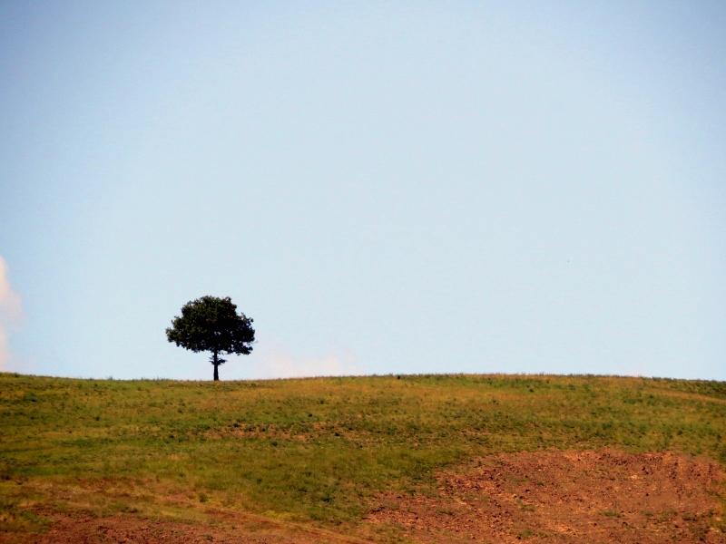 Photographie <em>"Solitario - Parco regionale dei Sassi di Roccamalatina"</em> par <b>gsimo83</b>