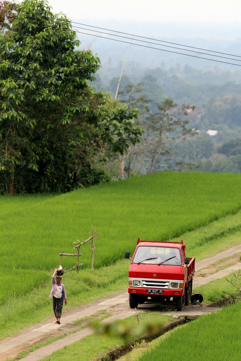 Photograph <em>"A view from rice terrace"</em> by <b>Jolka</b>
