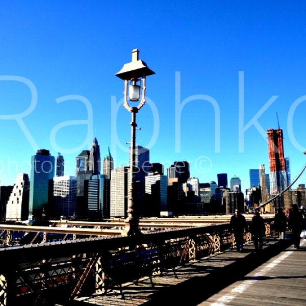 Photographie 7