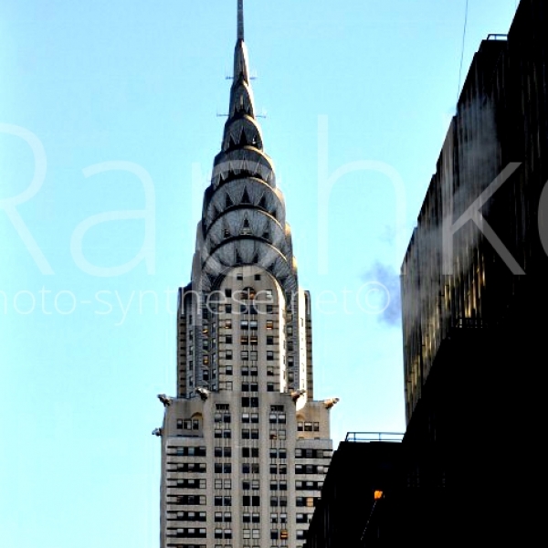 Photographie 40