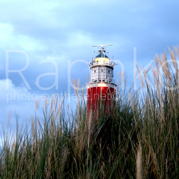 Photographie 2