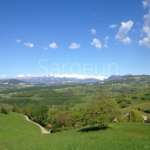 Photograph Lonico  par Saroeun