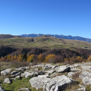 Photograph Stones & Autumn - Malga Spazzacamina - Lessinia par gsimo83