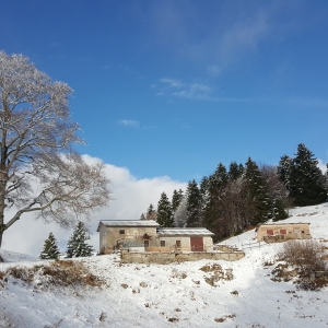 Photograph Malga Vigna  - in winter dress - Lessinia , Italy par gsimo83