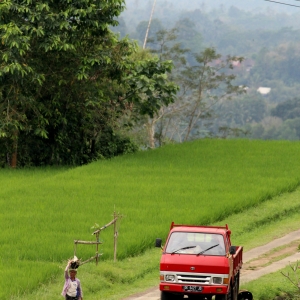 Photograph A view from rice terrace par Jolka